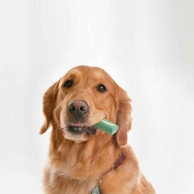 Oravet Dental Chews Large Dogs 23kg+