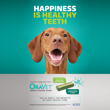 Oravet Dental Chews Large Dogs 23kg+