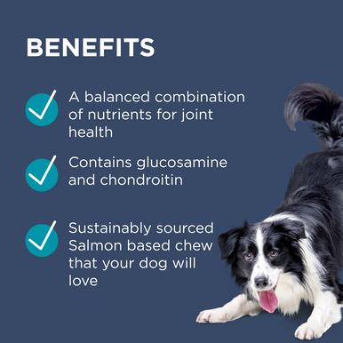 PAW Osteocare Joint Protect Chews For Dogs