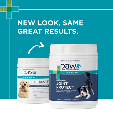 PAW Osteocare Joint Protect Chews For Dogs