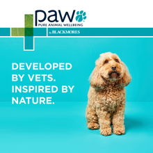 PAW Osteocare Joint Protect Chews For Dogs