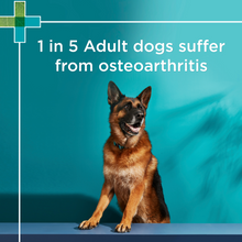 PAW Osteocare Joint Protect Chews For Dogs