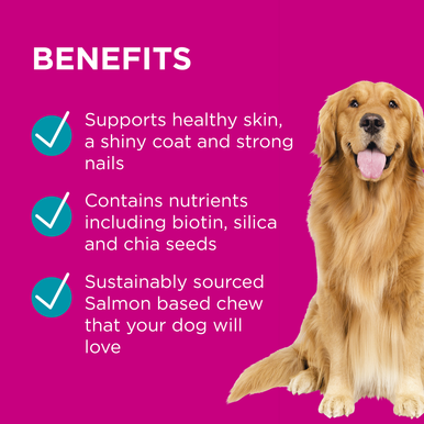 PAW Coat Skin & Nails Multivitamin Chews (300g approx. 60 chews )