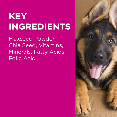 PAW Coat Skin & Nails Multivitamin Chews (300g approx. 60 chews )