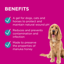 PAW Manuka Wound Gel for Dogs and Cats