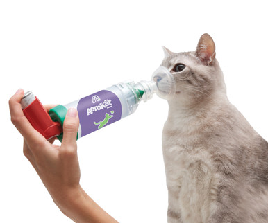 Cat Aerosol Chamber (3 Masks) - Feline Inhaler Spacer for Cat Asthma –  Include 3 Masks to fit All Cats (Medical Grade)