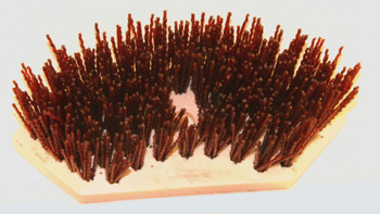 Flo-Pac 36L250G50 - Brush - .050 Grit Sectional Flo-Pac 36L250G50 - Brush - .050 Grit Sectional