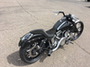 Diablo Harley Pan America Black Double Cut Wheels