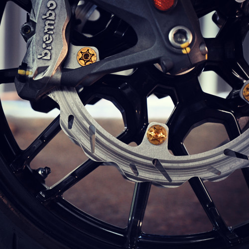 12.6" (320mm) Indian Challenger Floating Dual Disc OEM PR1 Rotor