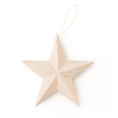 Wood Star Ornament w/Gold String
