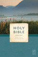 28 Pack Holy Bible, Large Print, NLT (DS)