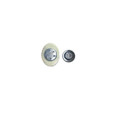 Magnetic Red Oval with Gold Crest