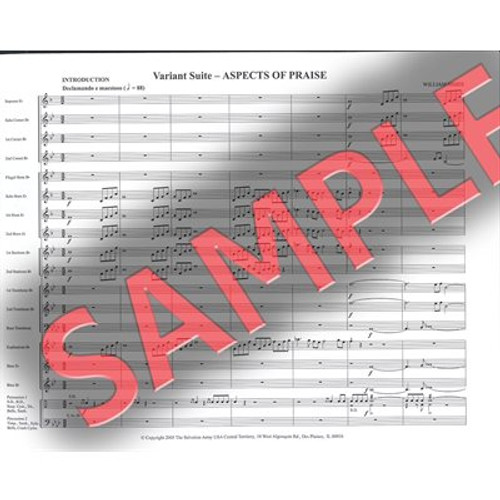 American Festival Series Special Edition #6 Aspects of Praise