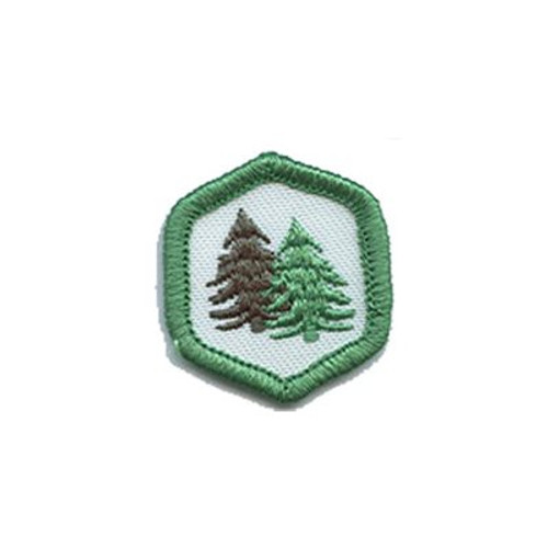 AdvCorps - Camp Badges