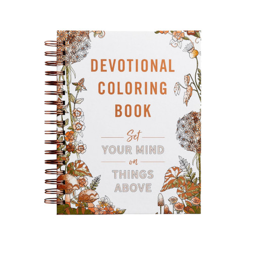 Devotional: Set your Mind in Things Above