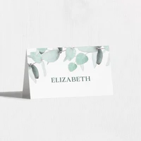 Eucalyptus Place Cards Place Cards Leslie Store