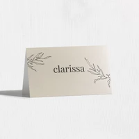 Keira Place Cards Place Cards Leslie Store