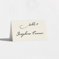 Gabrielle Place Cards Place Cards Leslie Store