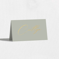 Foil Place Cards With Guest Names Place Cards Leslie Stationery Store