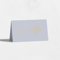 Foil Place Cards With Guest Names Place Cards Leslie Stationery Store