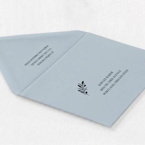 Cool Blue Envelope - Full Color Envelopes Leslie Stationery Store