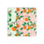 Notebook Set - Oranges Notebooks  Notebook Set - Oranges Notebooks