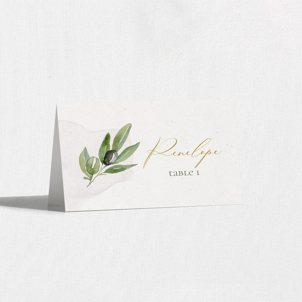 Leanor Place Cards Place Cards Leslie Store Leanor Place Cards Place Cards Leslie Store