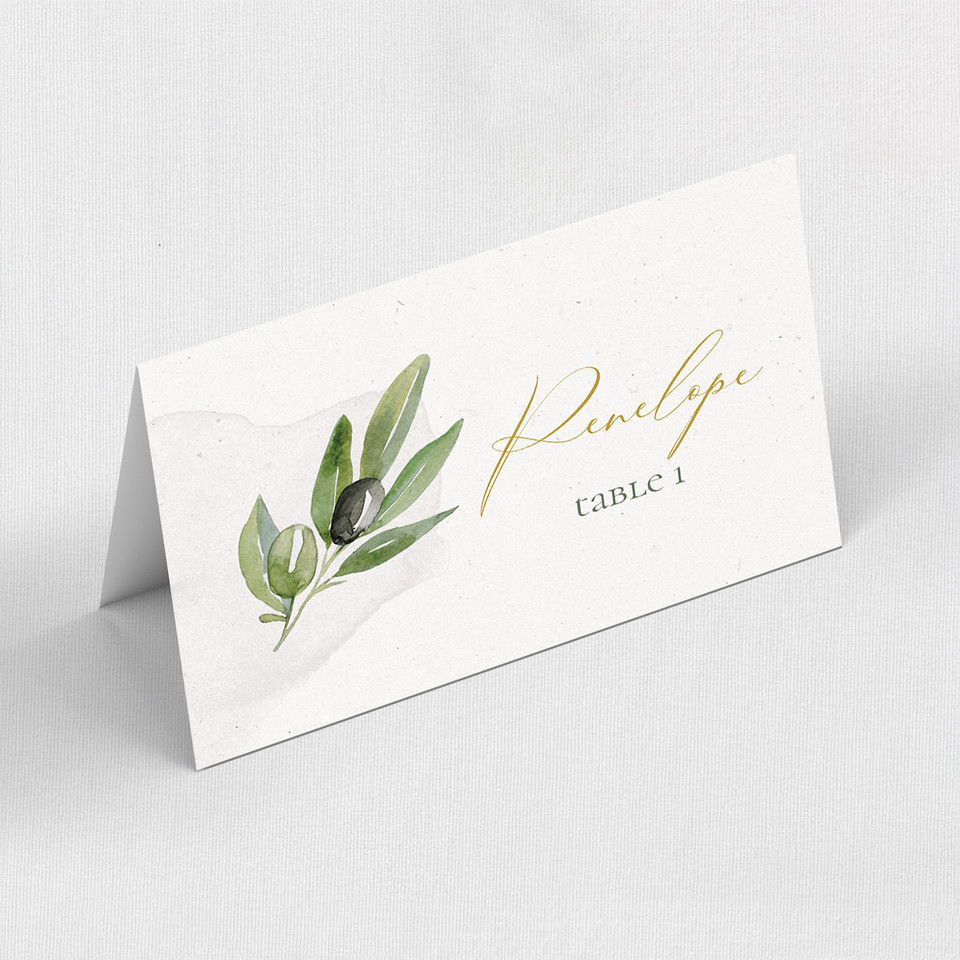 Leanor Place Cards Place Cards Leslie Store