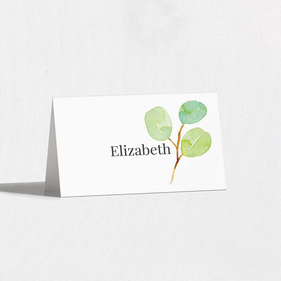 Charlotte Place Cards Place Cards Leslie Store