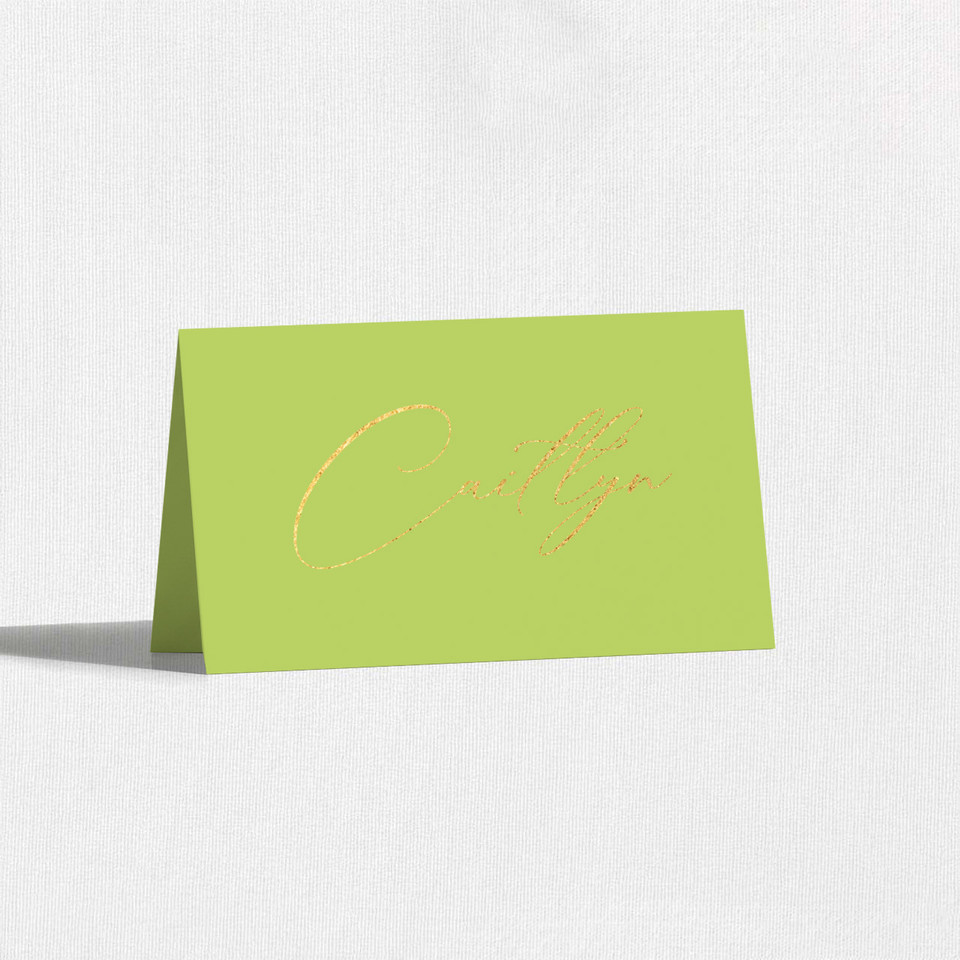Foil Place Cards With Guest Names Place Cards Leslie Stationery Store