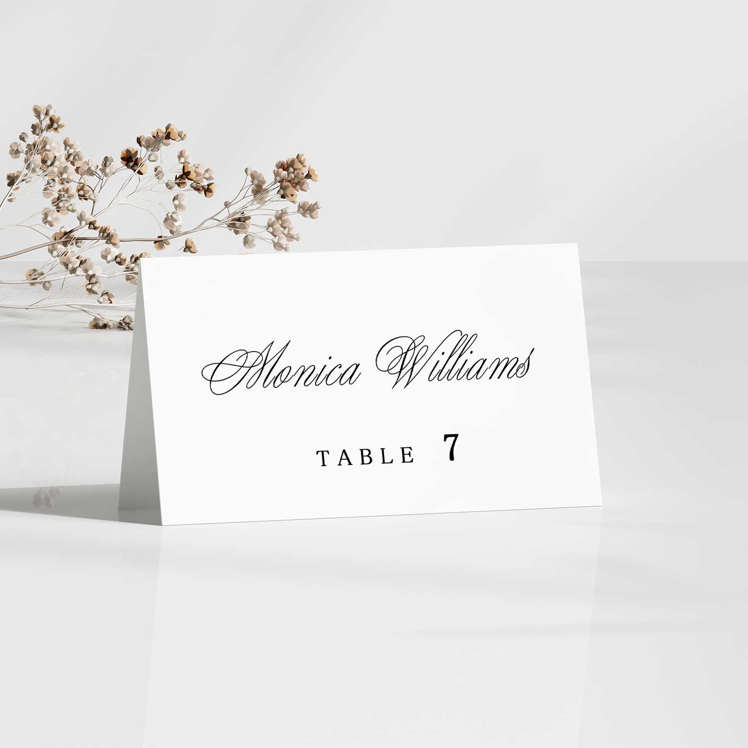 Anabel Place Cards