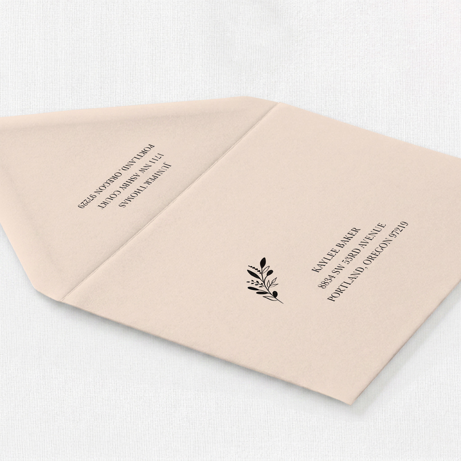 Blush Envelope - Full Color