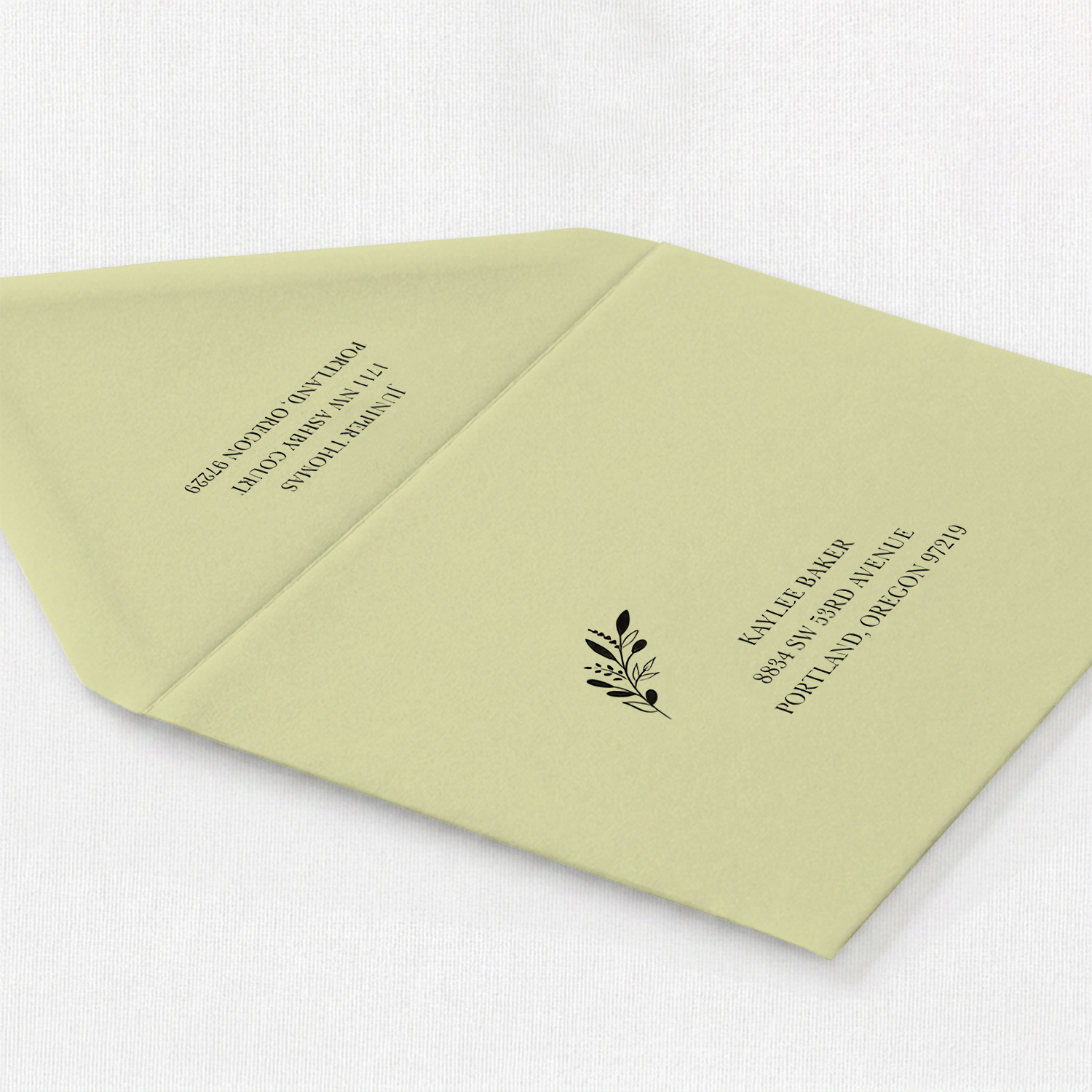 Pistachio Envelope - Full Color