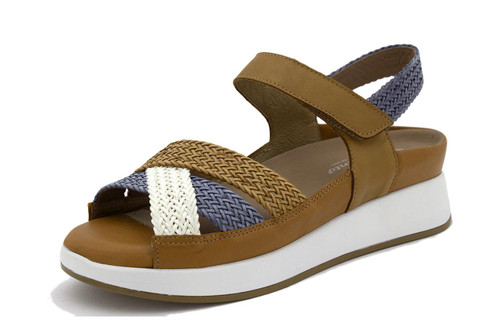 PieSanto 240425 - Pecan/Blue