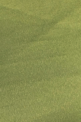 Weller Golden Green Two Tone 2 piece suit