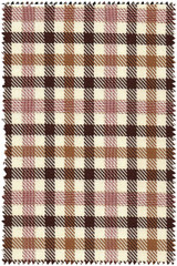 Brown gun club check Blazer