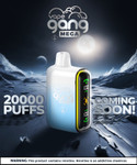 Vape Gang Mega 20,000 Puffs Disposable Vapes - Various Flavors
