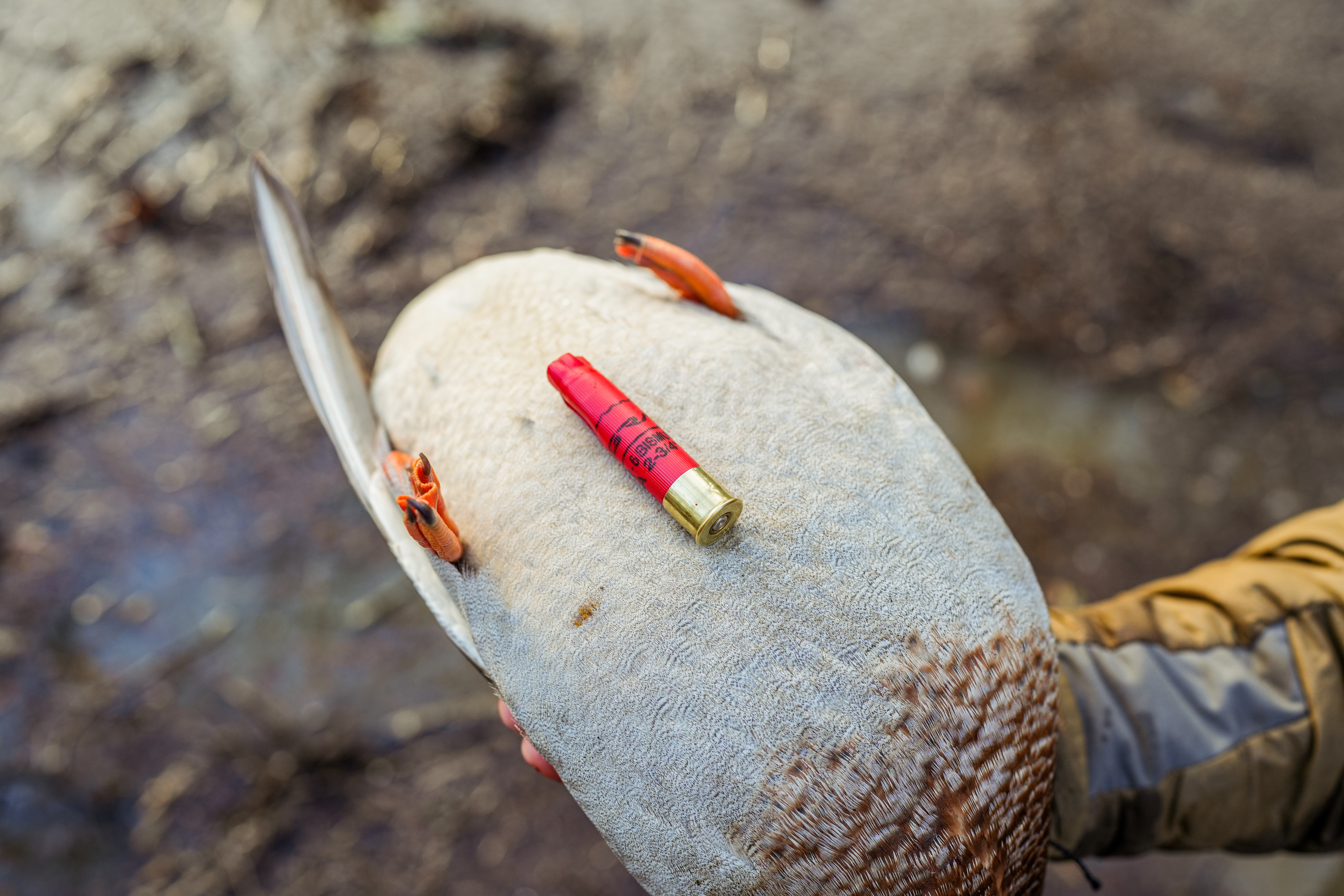 mono series shell - Migra Ammunition
