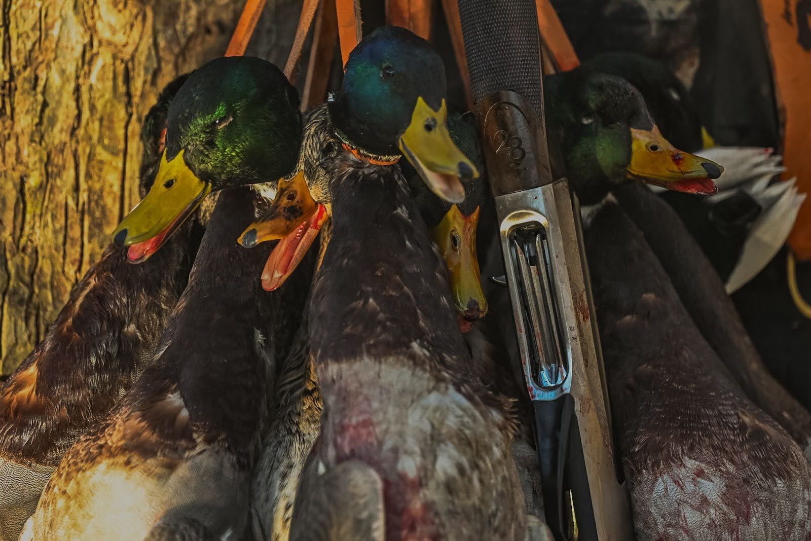 Customer Migra Moment Photo