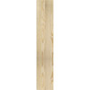 Ekena Millwork - OUT06X24X32MRC01RDF