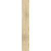 Ekena Millwork - OUT06X30X42WTL01RDF