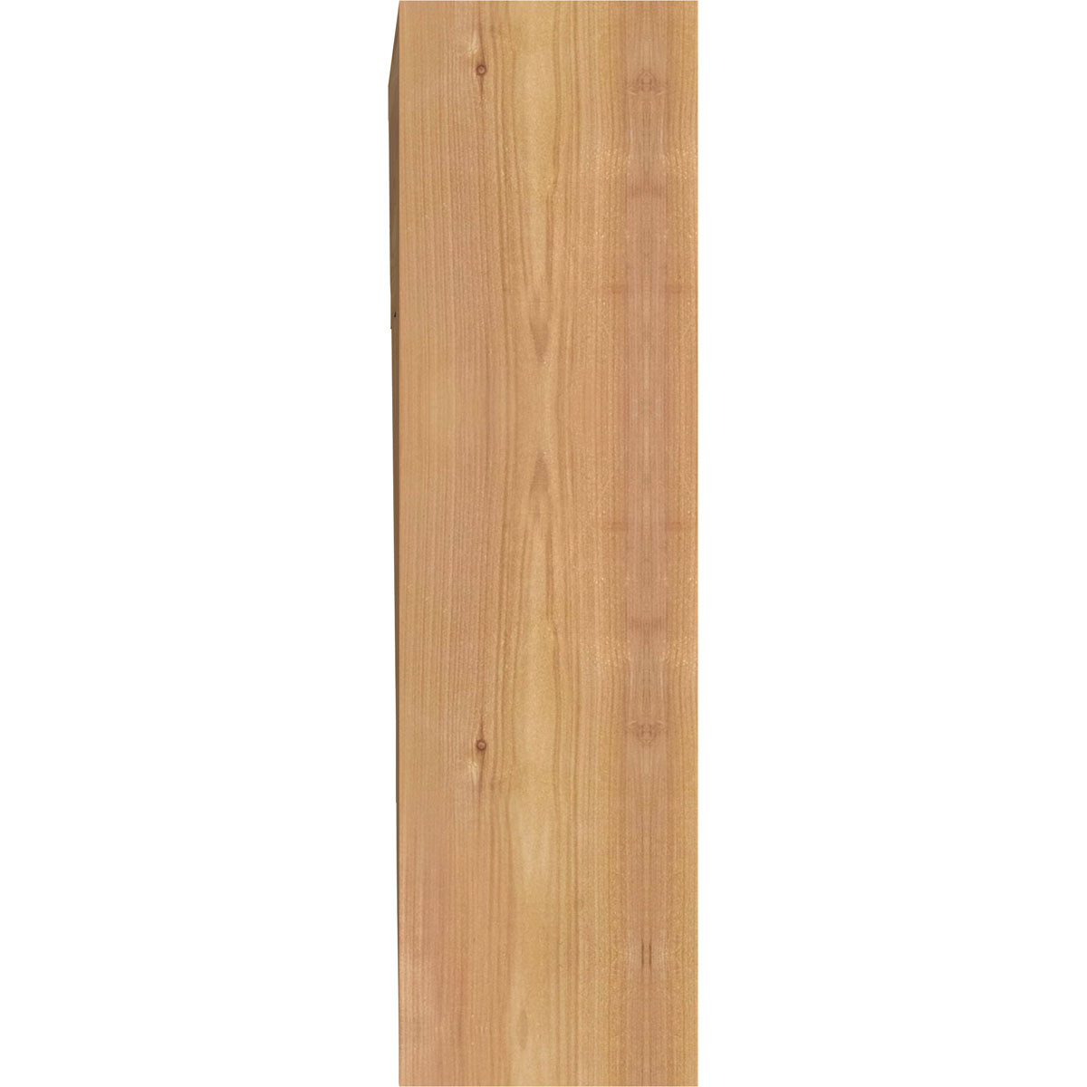 Ekena Millwork - BKT06X20X20TRA01SWR