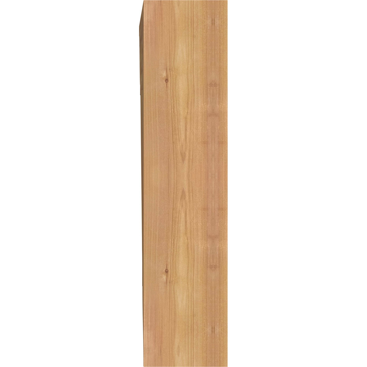 Ekena Millwork - BKT06X20X24TRA01SWR