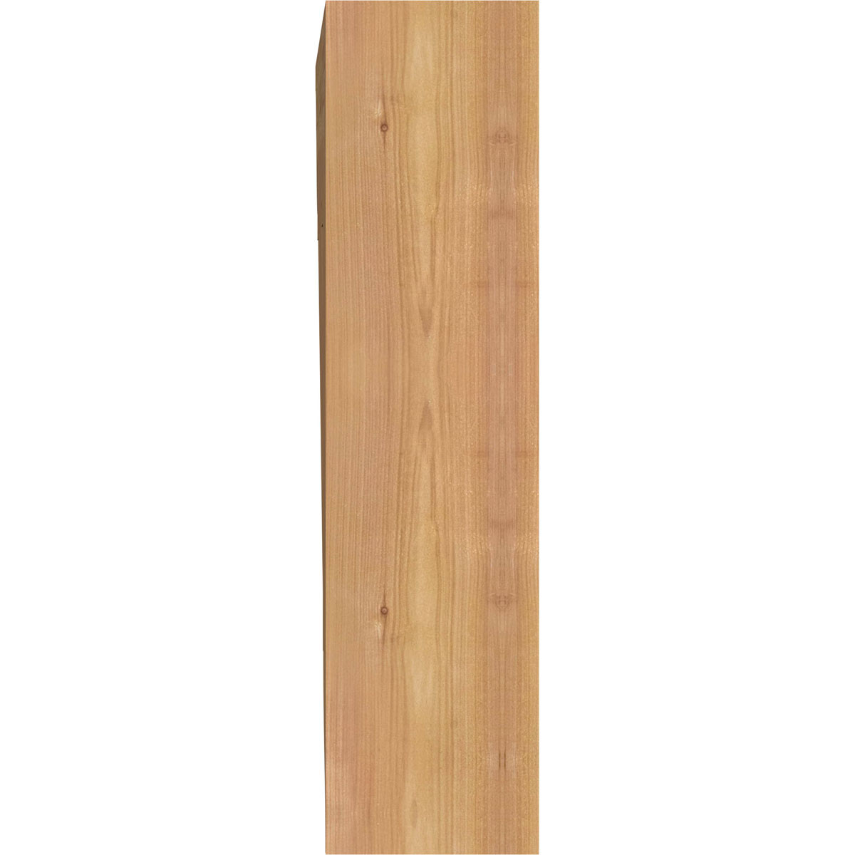 Ekena Millwork - BKT06X22X22TRA01SWR