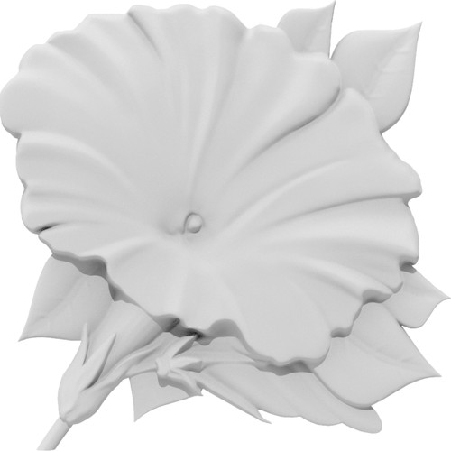 Ekena Millwork - ONLC030X030GLYUF-R