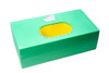 Radium Engineering R06A 6 gallon fuel cell bladder, green plastic case with oval yellow bladder opening on top, front angled view