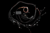 Haltech Elite 2000/2500 terminated engine harness with connectors, relay box, coiled wiring on black background