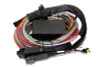 Haltech Elite 2500/2500 T Premium Universal Wire-In Harness - 2.5m (8ft)