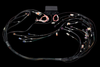 Haltech Elite 2500 terminated harness for LS1/LS6/LS2/LS3, coiled loom with ECU box and connectors