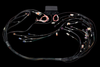 Haltech Elite 2000/2500 GM Gen IV LS2/LS3 terminated wiring harness, top view showing ECU box, EV6 injector connectors and multiple color coded